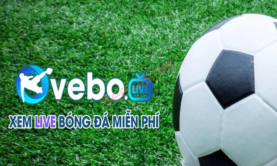 vebottbdlattrai-nghiem-hang-ngan-tran-cau-hap-dan-voi-toc-do-muot-ma-240