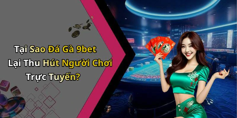 Tại Sao Đá Gà 9bet Lại Thu Hút Người Chơi Trực Tuyến?