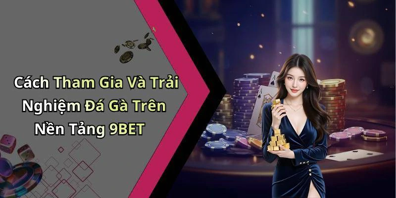 Cách Tham Gia Và Trải Nghiệm Đá Gà Trên Nền Tảng 9BET