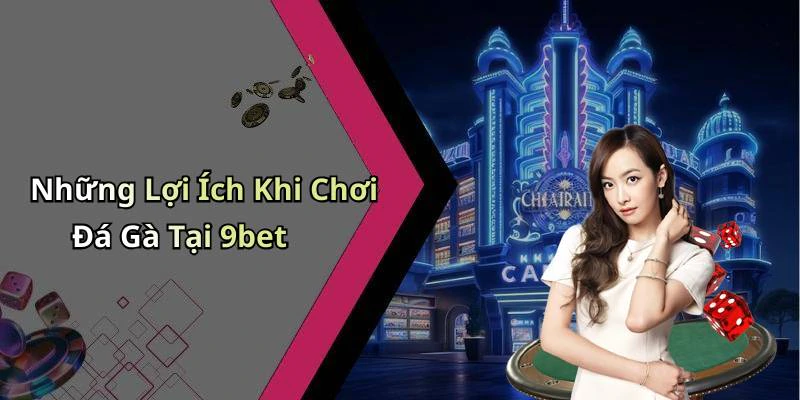Những Lợi Ích Khi Chơi Đá Gà Tại 9bet