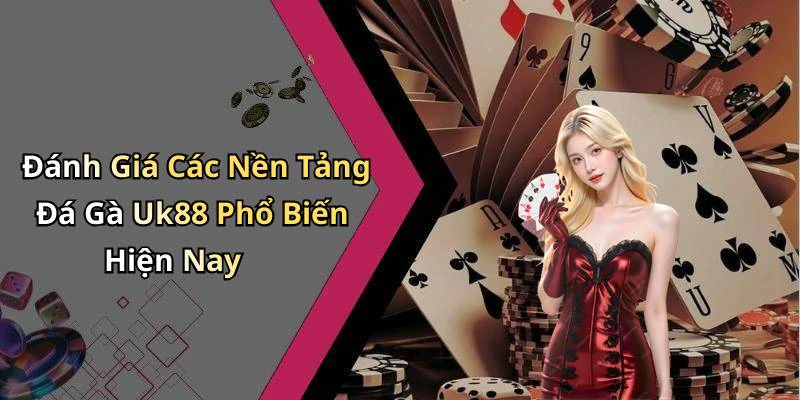 Đánh Giá Các Nền Tảng Đá Gà Uk88 Phổ Biến Hiện Nay