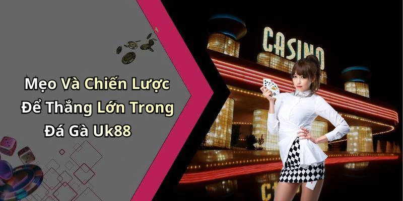 Mẹo Và Chiến Lược Để Thắng Lớn Trong Đá Gà Uk88