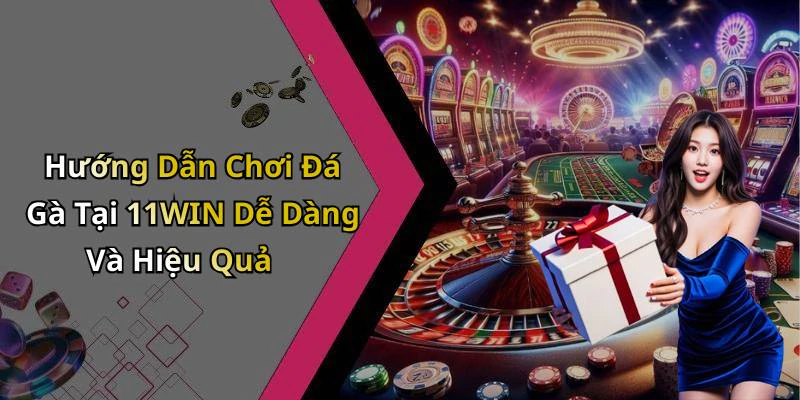 Hướng Dẫn Chơi Đá Gà Tại 11WIN Dễ Dàng Và Hiệu Quả