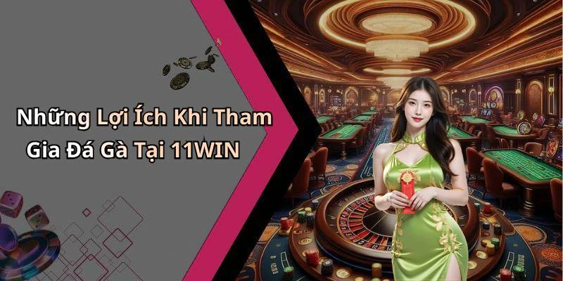 Những Lợi Ích Khi Tham Gia Đá Gà Tại 11WIN