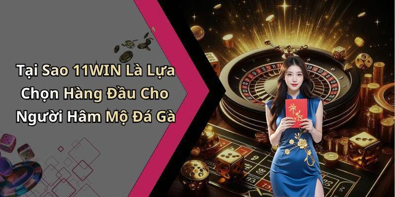 Tại Sao 11WIN Là Lựa Chọn Hàng Đầu Cho Người Hâm Mộ Đá Gà